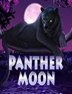 วิธี เล่น สล็อต มังกร ให้สนุกและคุ้มค่าเป็นพิเศษ